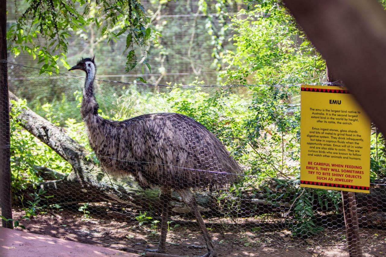 Gooderson Dumazulu Lodge Хлухлуве Экстерьер фото